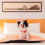 Ibis Centre Gare Sud Hotel 3*