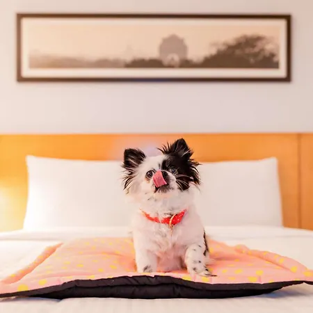 Ibis Centre Gare Sud Szálloda 3*