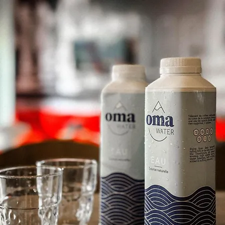 Szálloda Ibis Centre Gare Sud 3*