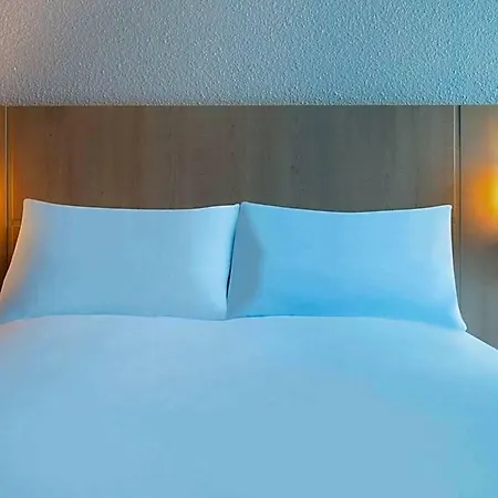 Ibis Centre Gare Sud 3*