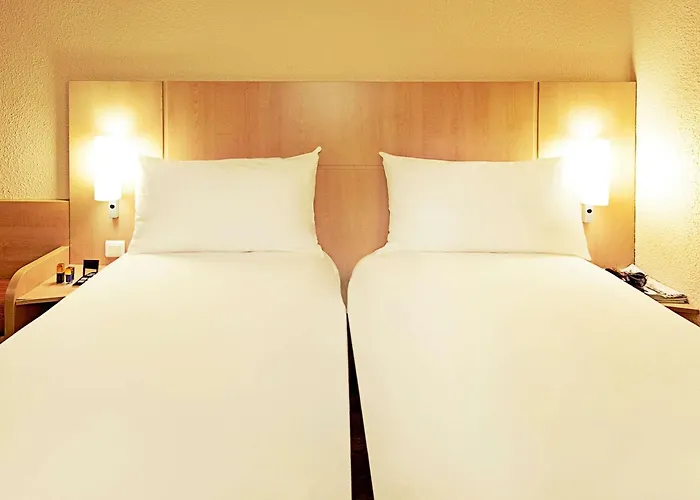 Ibis Centre Gare Sud 3*