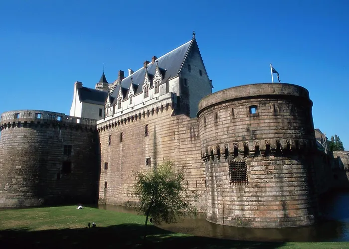 Отель Ibis Centre Gare Sud