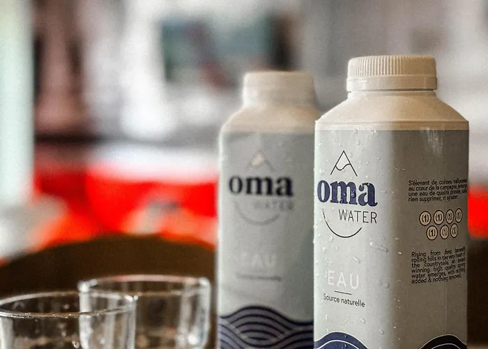 Отель Ibis Centre Gare Sud 3*