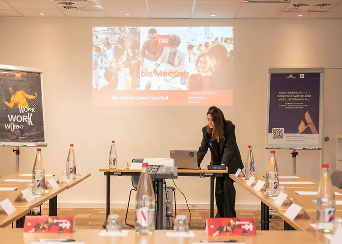 Hotel Ibis Centre Gare Sud