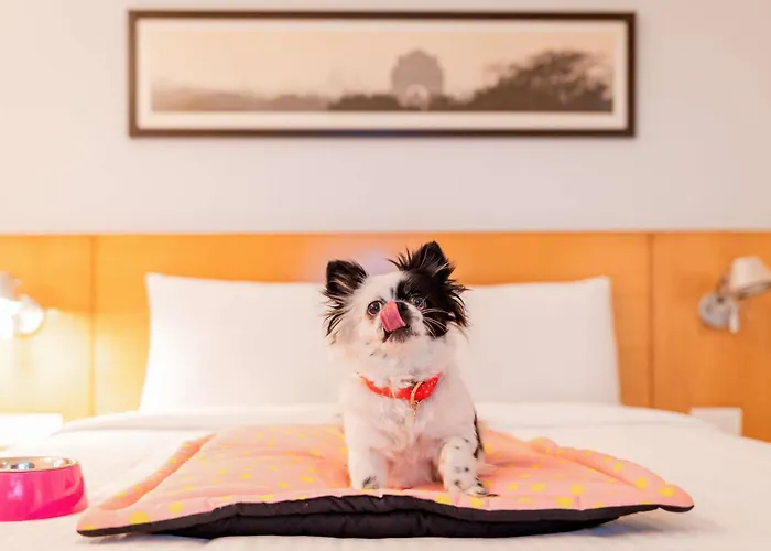 Ibis Centre Gare Sud Hotel 3*